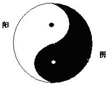 图1.1 太极图