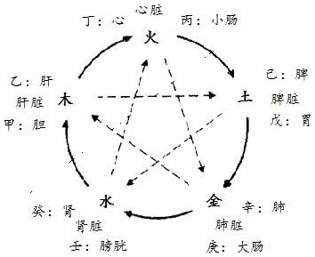 图13.1　五行及十干的脏腑对应关系