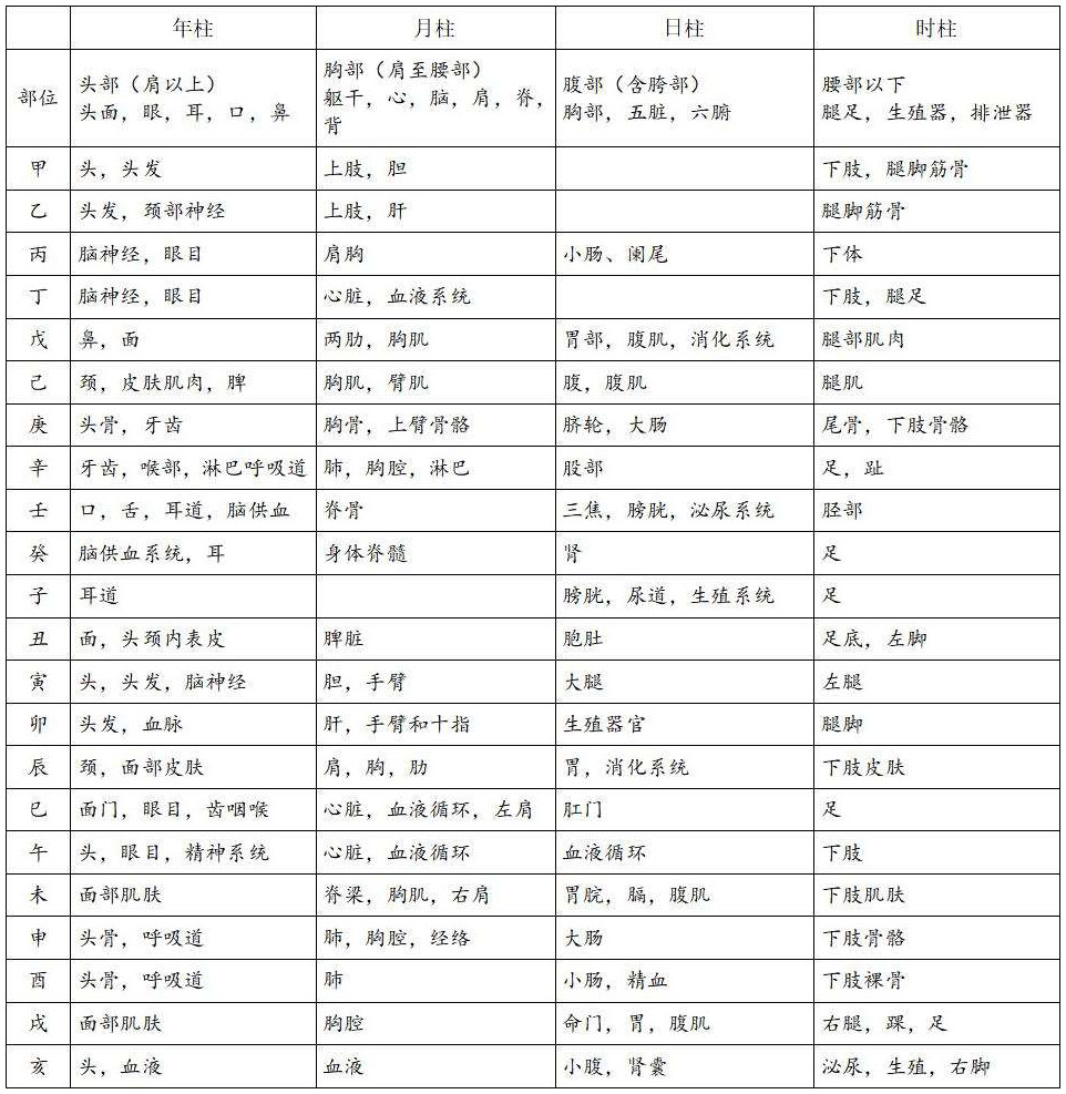 表13.3　干支在八字结构中对应的人体部位