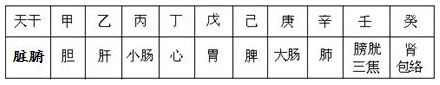 表13.2　天干与脏腑部位